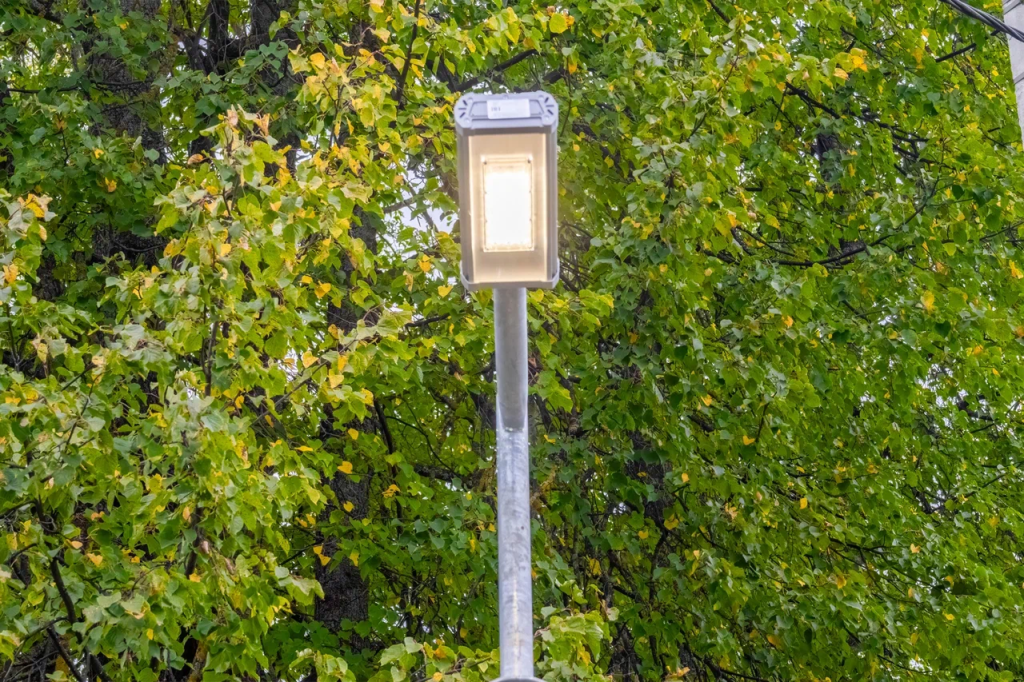 Светильники ТЕРРА на уличном столбе.png