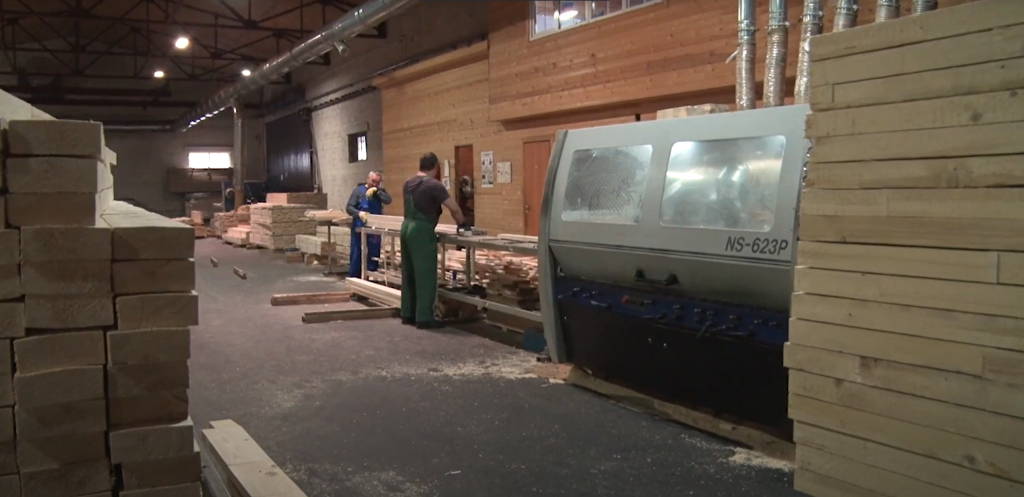 Работники предприятия сортируют древесину.png