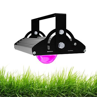 Джунгли v2.0 30 90°