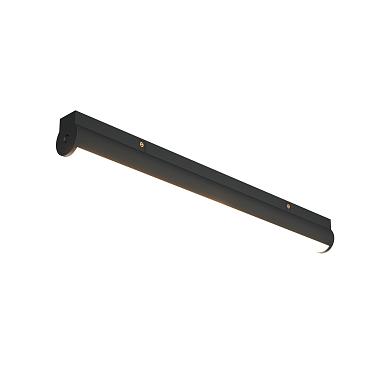 Basis Rot Basity 8 90