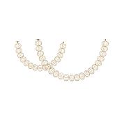 Golden Cage 3000 117