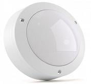 Светильник светодиодный Circus Pro 10Вт 950Лм IP65 для ЖКХ